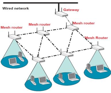 Wired Mesh