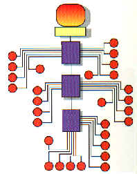 Figure1