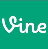 Vine