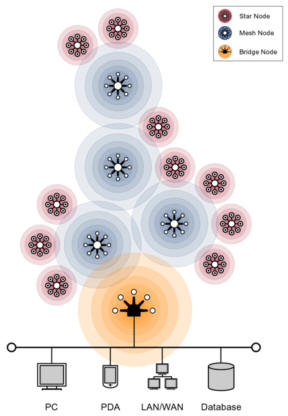  typical mesh network topology