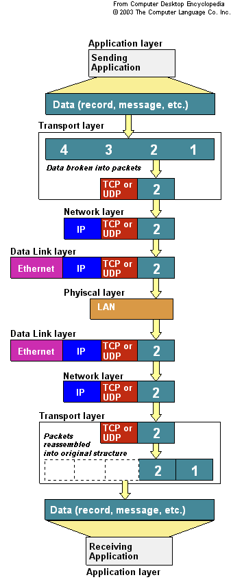 Application Layer