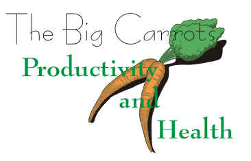 The Big Carrots - Productivity and Health