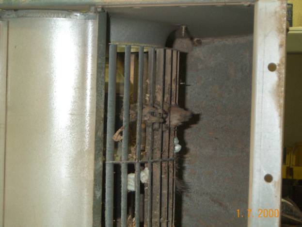 Photo 5. Foreign object in fan