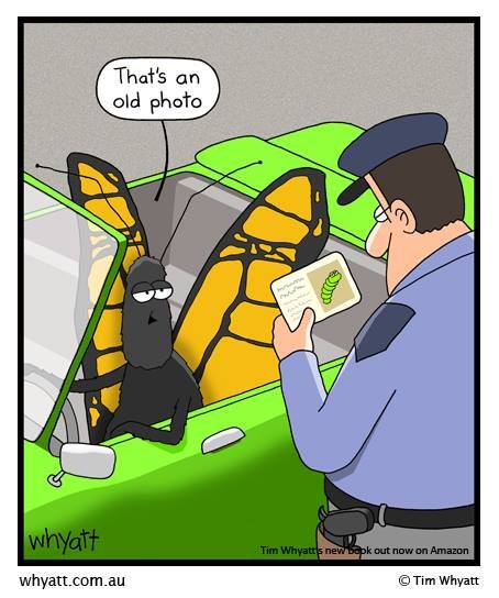 cartoon